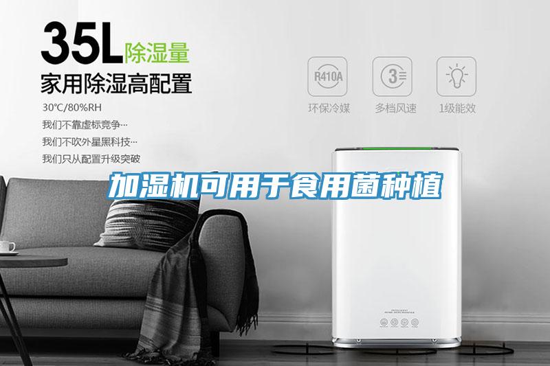 加湿机可用于食用菌种植