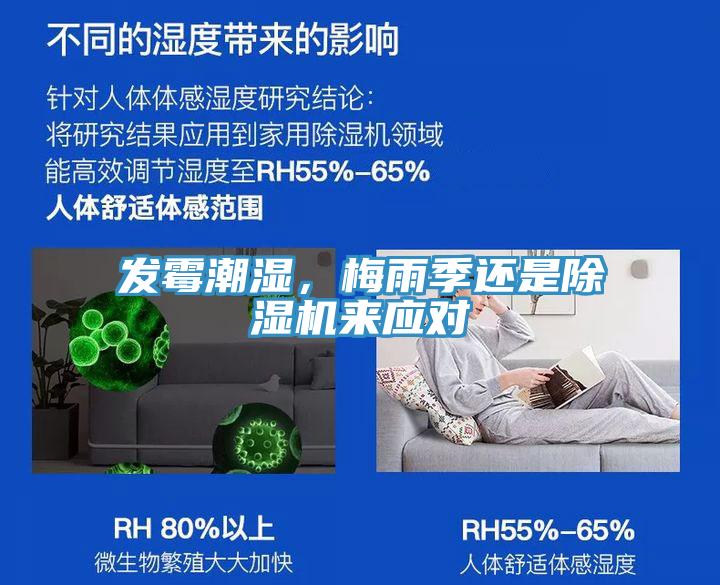 发霉潮湿，梅雨季还是除湿机来应对