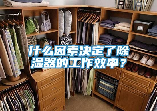 什么因素决定了除湿器的工作效率？