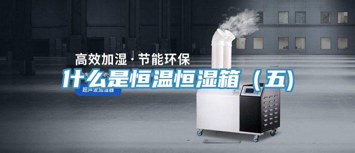 什么是恒温恒湿箱（五)