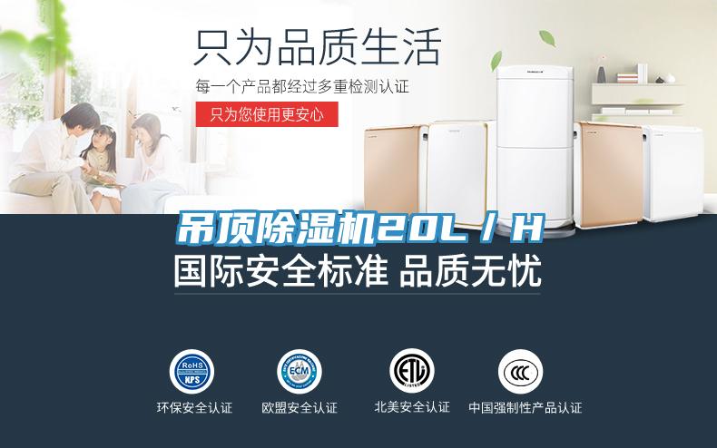 吊顶除湿机20L／H