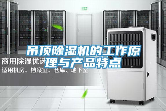 吊顶除湿机的工作原理与产品特点