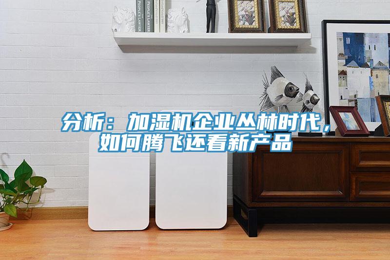 分析：加湿机企业丛林时代，如何腾飞还看新产品