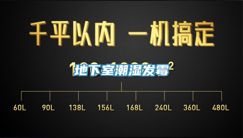 地下室潮湿发霉