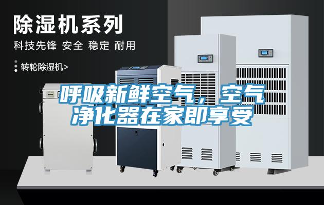 呼吸新鲜空气，空气净化器在家即享受