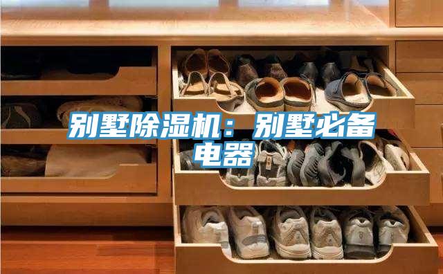 别墅除湿机：别墅必备电器