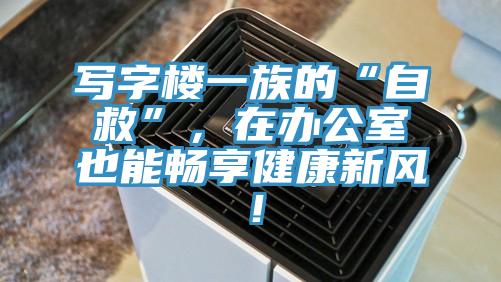 写字楼一族的“自救”，在办公室也能畅享健康新风！