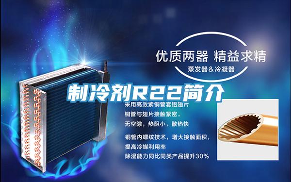 制冷剂R22简介