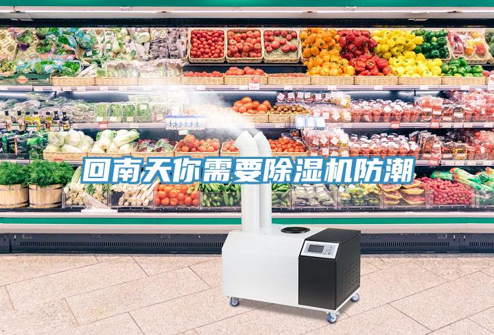 回南天你需要除湿机防潮