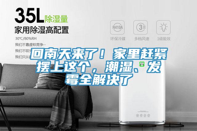 回南天来了！家里赶紧摆上这个，潮湿、发霉全解决了
